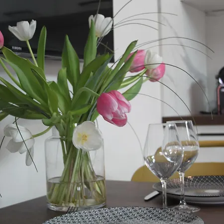 Maison Meire Apartment Cognac