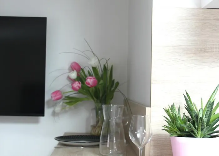 Maison Meire * Cognac