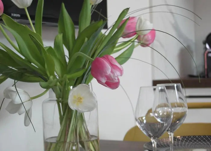 Maison Meire Apartment Cognac